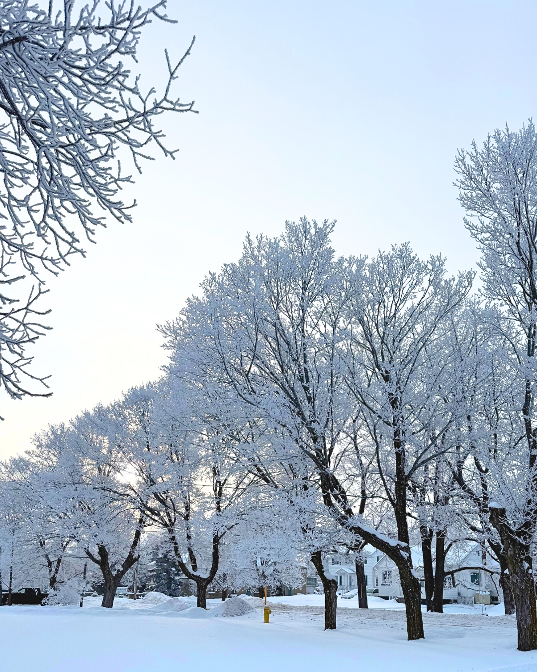 Winter Photo on Manitoulin