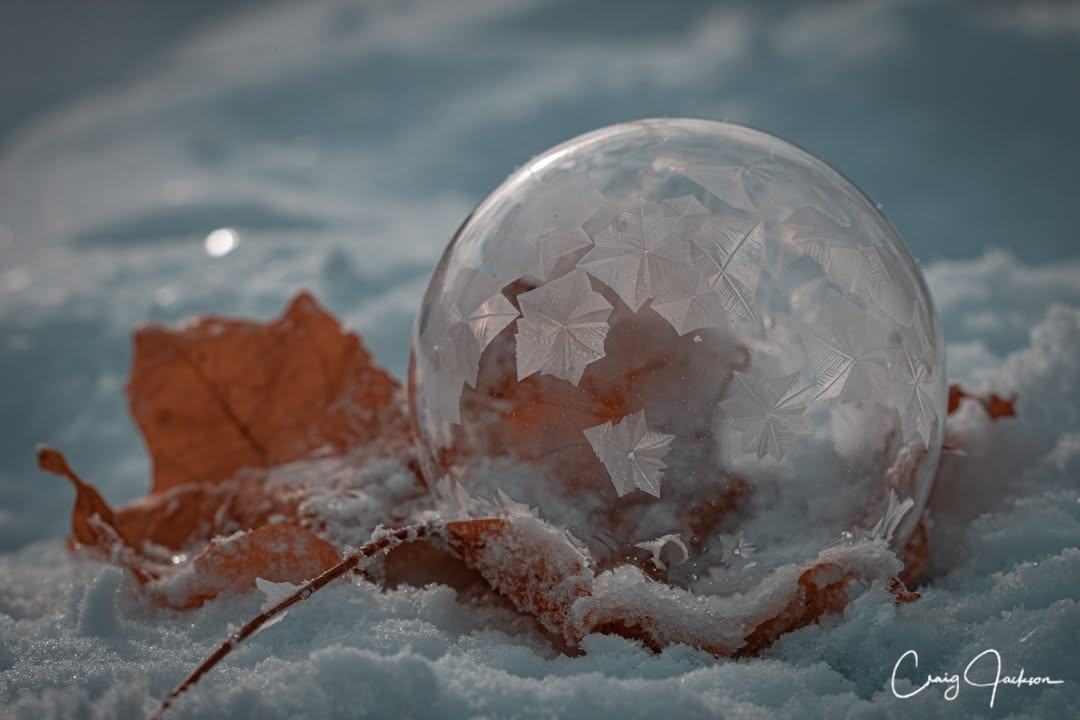 Craig Jackson Images